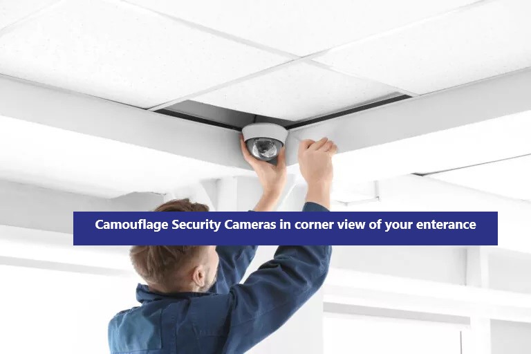 Camouflage Security Cameras Within Commonplace Objects