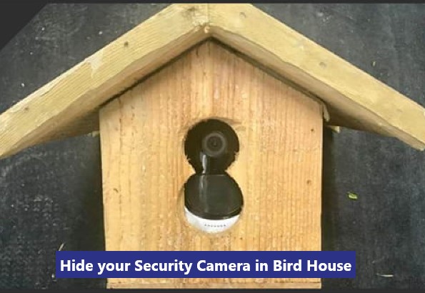 Hide your Security Camera in Bird House