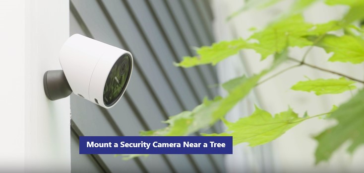 mounting the security cameras near a tree